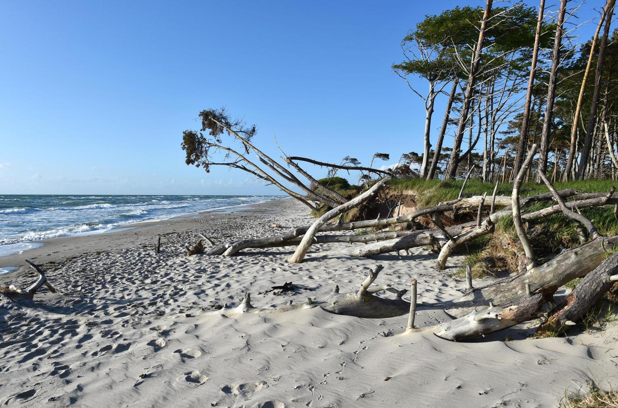 Meeresbrise Im Ostseeheilbad Zingst Exterior photo